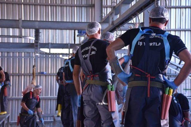 Niğde A&ccedil;ık Cezaevi Kurbanda Yoğun Mesai Yaptı 1