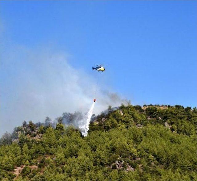 Antalya'da Ormanlık Alanda Yangın