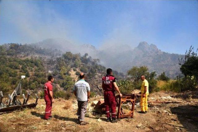 Antalya'da Ormanlık Alanda Yangın