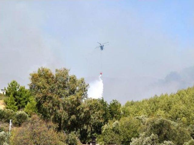 Antalya'da Ormanlık Alanda Yangın