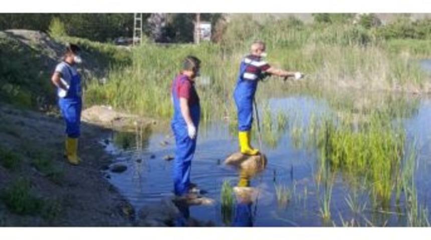 Hakkari Belediyesinden Sivrisinekle M&uuml;cadele