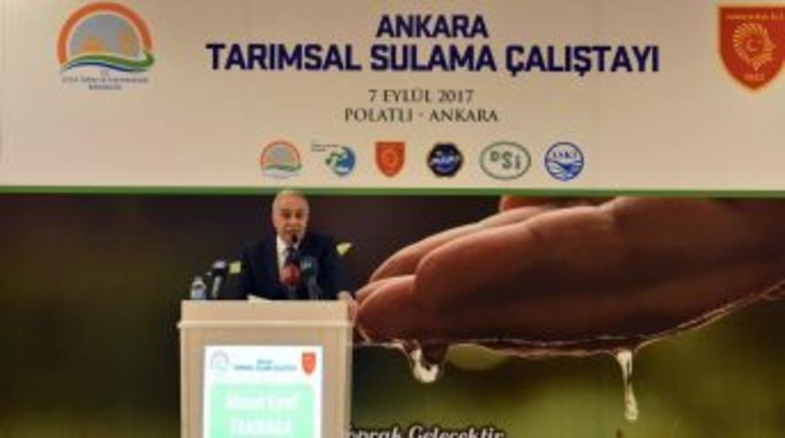 Bakan Fakıbaba: "&uuml;lkemizde Fipronilli Yumurta Tespit Edilmemiştir"