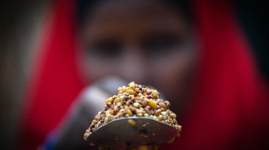 K&uuml;resel Tahıl &Uuml;retimi Yeni Bir Rekora Giderken T&uuml;ketim Ve Stoklar Y&uuml;kseliyor