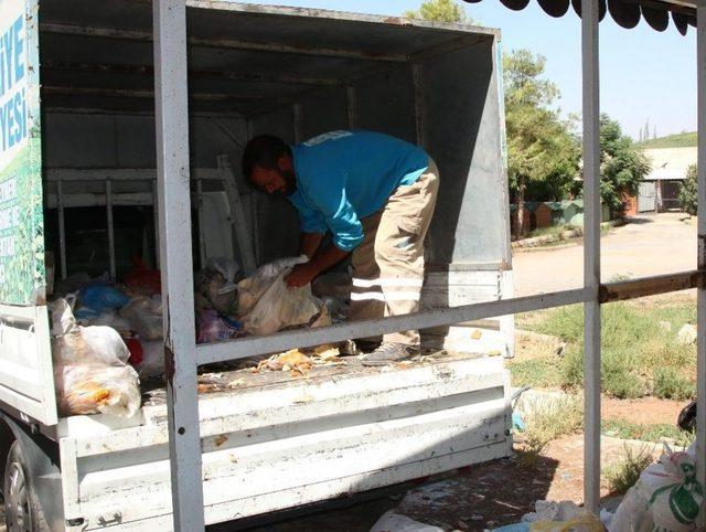 Şanlıurfa’da Bayat Ekmekler Doğal Yaşama Kazandırılıyor