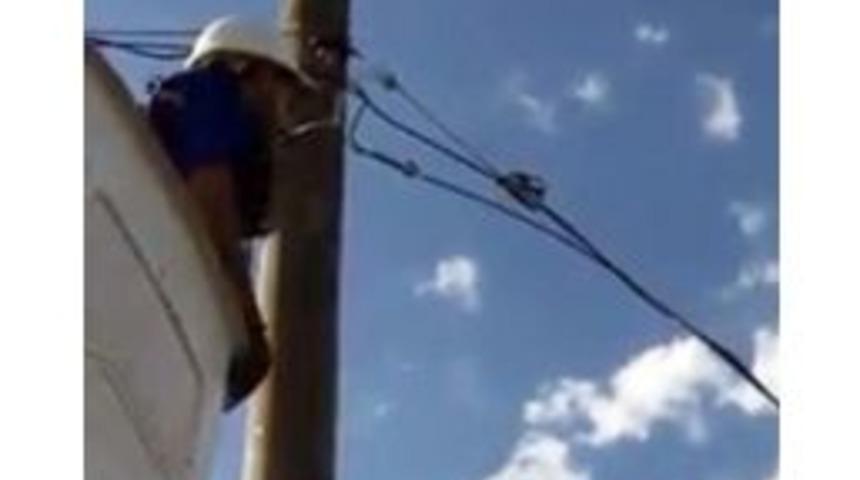 Elektrik Direğinde Sıkışan Ebabil Kuşu Kurtarıldı