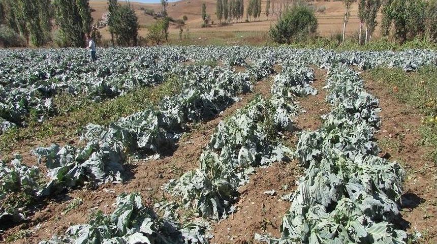 Şiddetli Rüzgar Prefabrik Evi Uçurdu