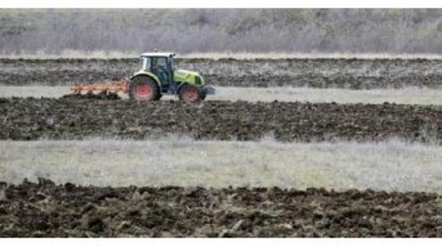 K&uuml;resel Tahıl &Uuml;retimi Artarken T&uuml;ketim Ve Stoklar Y&uuml;kseliyor