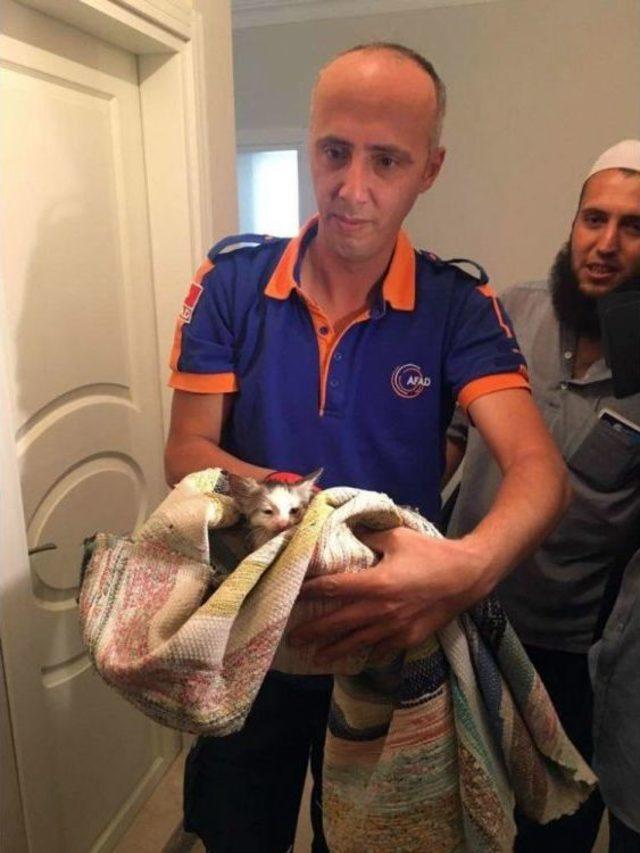 Tuvalet Deliğine D&uuml;şen Kedi Kurtarıldı 1