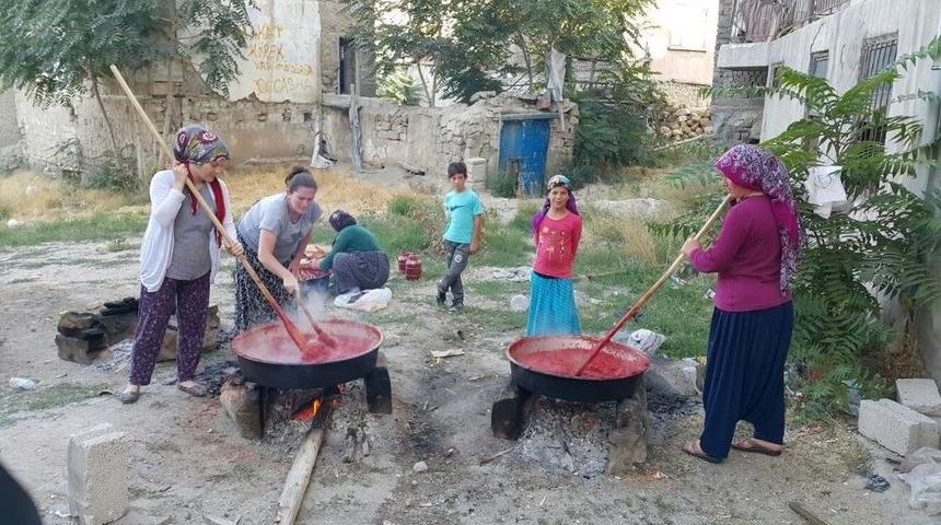 Kışlık Sal&ccedil;a Yapımı Başladı