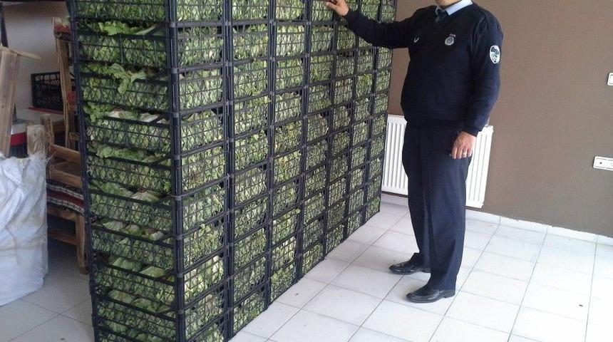 61 Ton Kayıt Dışı Meyve Sebzeye M&uuml;dahale