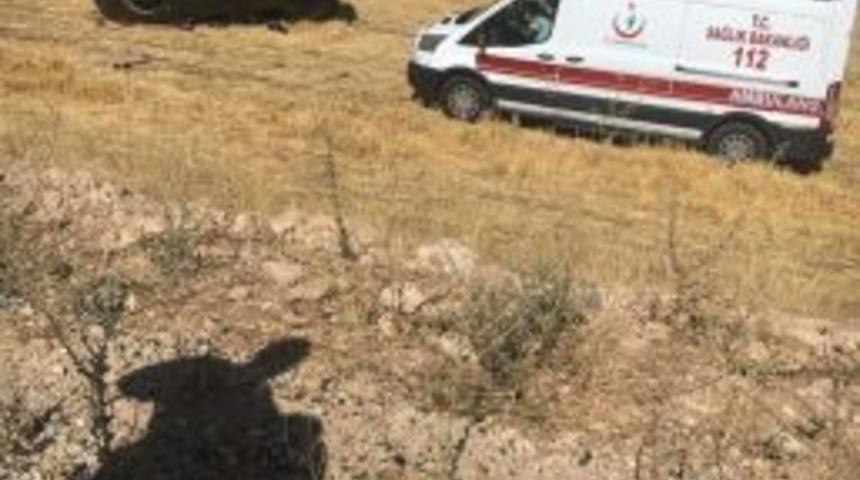 Hasankeyf&rsquo;te Trafik Kazası: 4 Yaralı