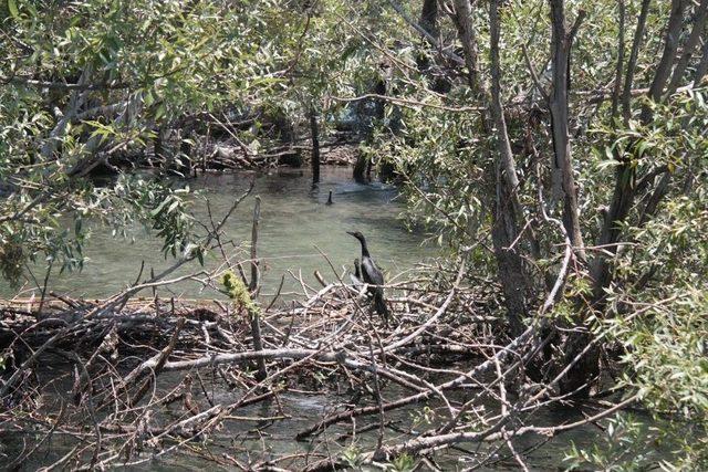 “karkamış Sulak Alanı” Projesinin Protokolü İmzalandı