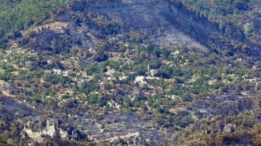 Zeytink&ouml;y'deki Yangında 50 Ev Ve 250 Hektar Orman K&uuml;l Oldu (3)