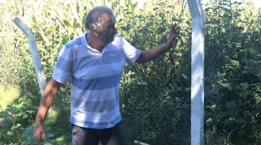 10 Kez &Ccedil;iftliğe Girip 500 Tavuk &Ccedil;aldılar