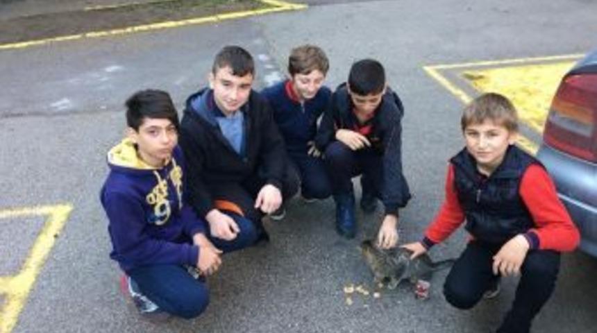 &Ouml;ğrenciler Har&ccedil;lıklarıyla Sokak Hayvanlarını Besledi