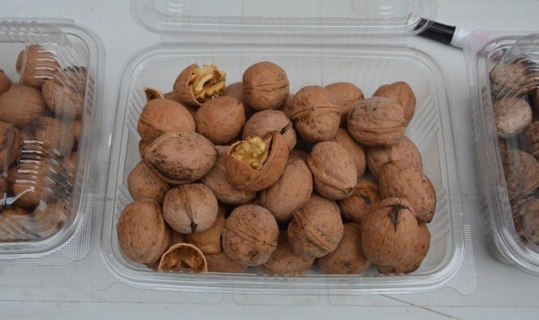 Niksar&rsquo;da &rsquo;altın Ceviz&rsquo; Se&ccedil;meleri Yapıldı