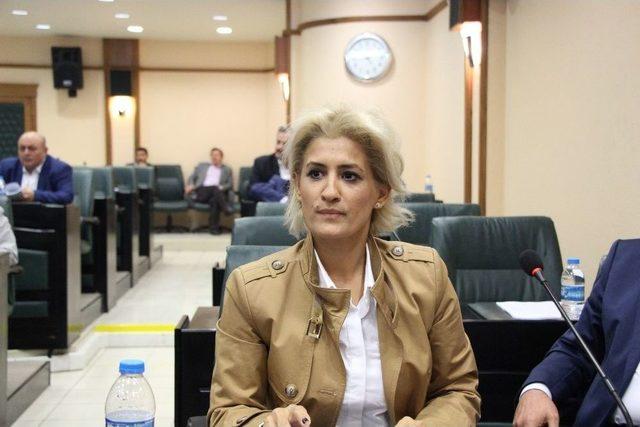 &Ccedil;akır&rsquo;dan "lojistik K&ouml;y&rdquo; Tepkisi 2