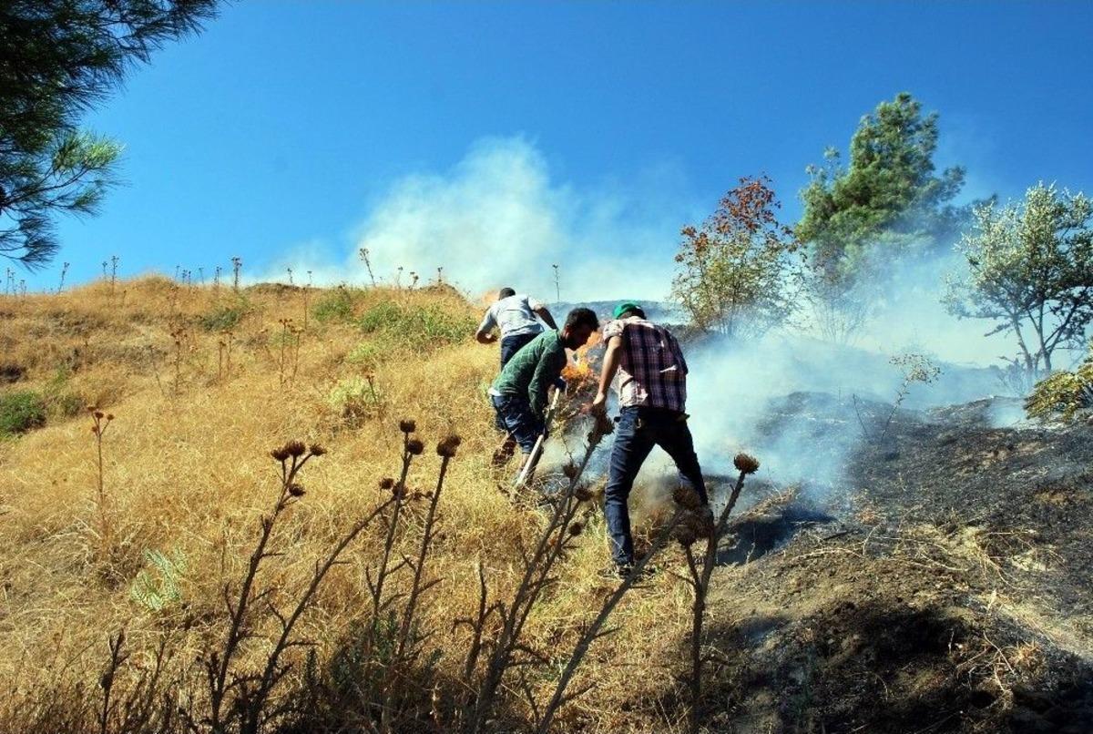 Ot Yangını Ormana Sı&ccedil;ramadan S&ouml;nd&uuml;r&uuml;ld&uuml;