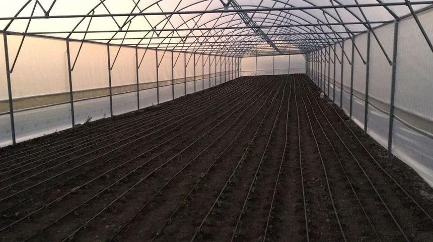 Manisalı &Ccedil;ift&ccedil;iler Desteklerle Kurdukları Serada &Uuml;retim Yapıyor