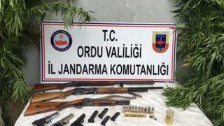 Ordu’da Kenevir Operasyonu