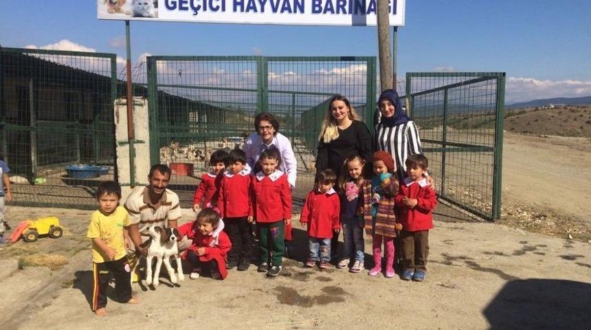 Minik &Ouml;ğrenciler, Ge&ccedil;ici Hayvan Barınağı&rsquo;nı Ziyaret Etti