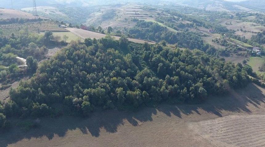 Tekkek&ouml;y&rsquo;e &lsquo;masal Ormanı&rsquo;