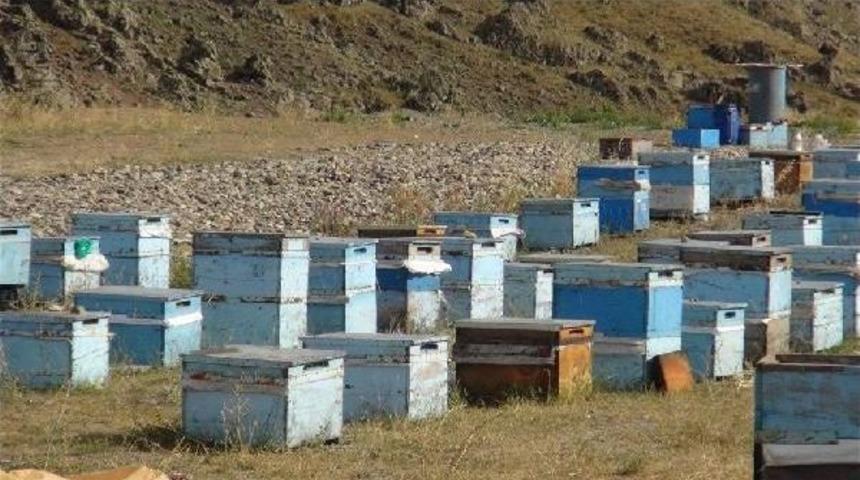Karslı Arıcıları Iklim Değişikliği Vurdu; Verim D&uuml;ş&uuml;k