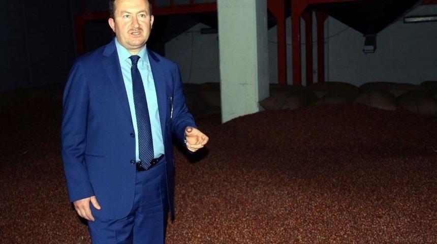 Tmo Genel M&uuml;d&uuml;r&uuml; Kemaloğlu: "fındık &Uuml;reticisi Acele Etmesin, Fiyat Arzu Ettikleri Seviyeyi Bulacak&rdquo;