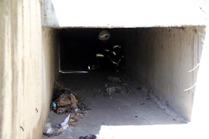 (özel Haber) Su Kanalında Kedi Kurtarma Operasyonu G2