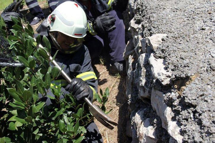 (özel Haber) Su Kanalında Kedi Kurtarma Operasyonu G3