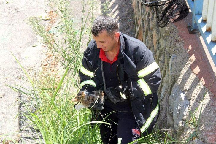 (özel Haber) Su Kanalında Kedi Kurtarma Operasyonu G4