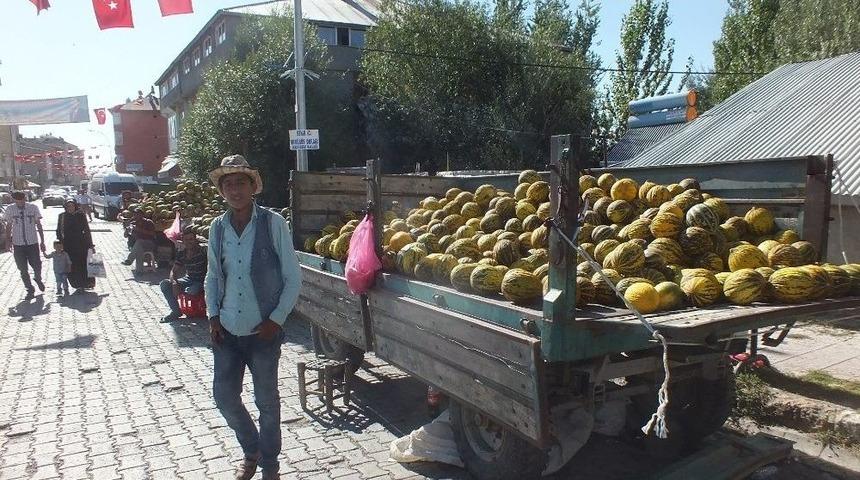 Bulanık Kavunu G&ouml;r&uuml;c&uuml;ye &Ccedil;ıktı