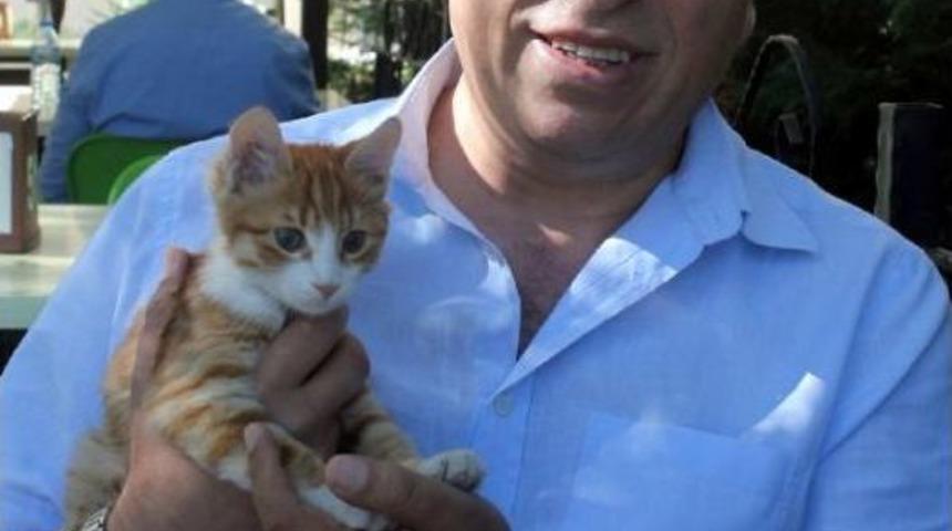 Su&ccedil; Duyurusuna Kucağında Yavru Kediyle Geldi