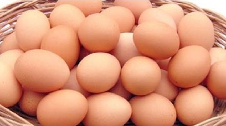 Tgdf Başkanı Şemsi Kopuz'dan 'zehirli Yumurta' A&ccedil;ıklaması