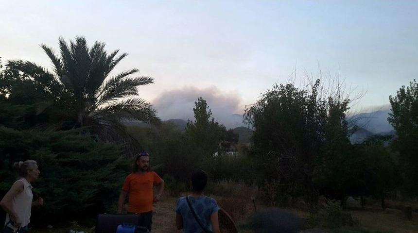 Antalya&rsquo;da Yangın B&ouml;lgesindeki Hayvanlar Tahliye Edildi