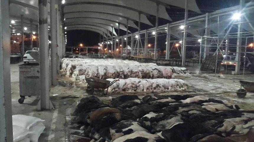 Didim Thk, Deri Toplama İşlemini Sorunsuz Ger&ccedil;ekleştirdi