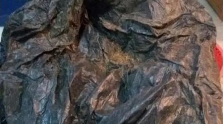 Ek Fotoğraflarla // Polis Bonzaiyi Klozetten &Ccedil;ıkardı
