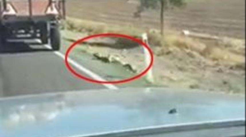 İple R&ouml;morka Bağlanan K&ouml;pek Metrelerce S&uuml;r&uuml;klendi