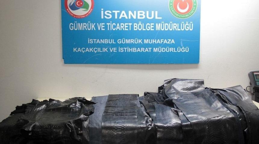 (&ouml;zel Haber) Atat&uuml;rk Havalimanı&rsquo;da Yılan Ve Timsah Derisi Yakalandı