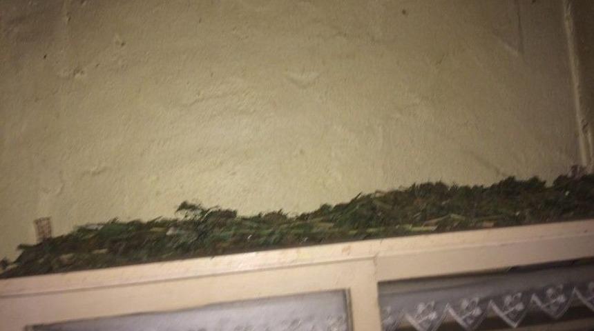 Bursa&rsquo;da &Ccedil;iftlik Evinde Esrar Ele Ge&ccedil;irildi