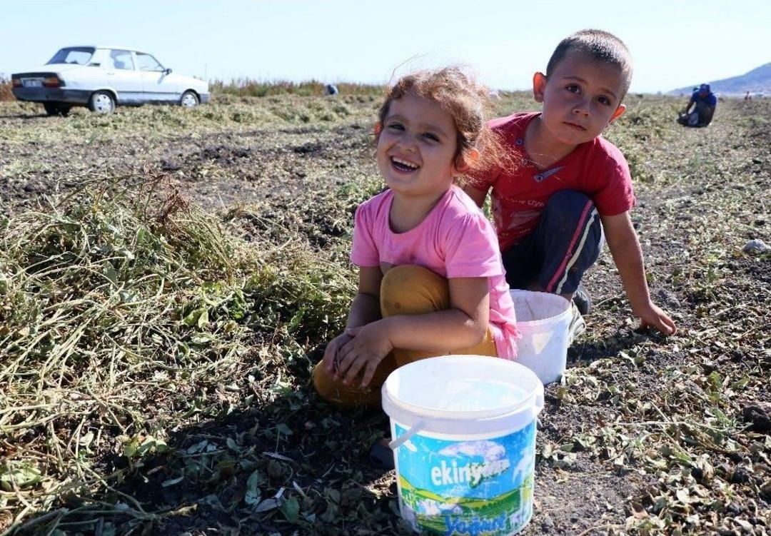 4 Yaşında Ge&ccedil;im Derdinde