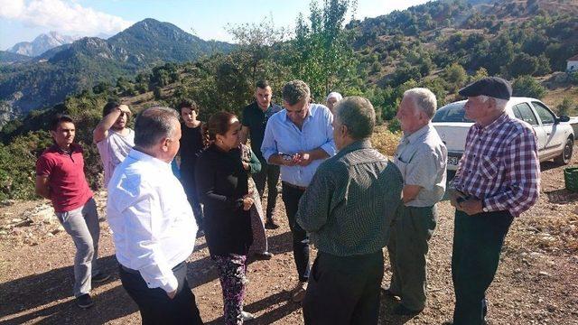 Ak Partili En&ccedil;, Yaylalarda Şalvarla Dolaştı 2