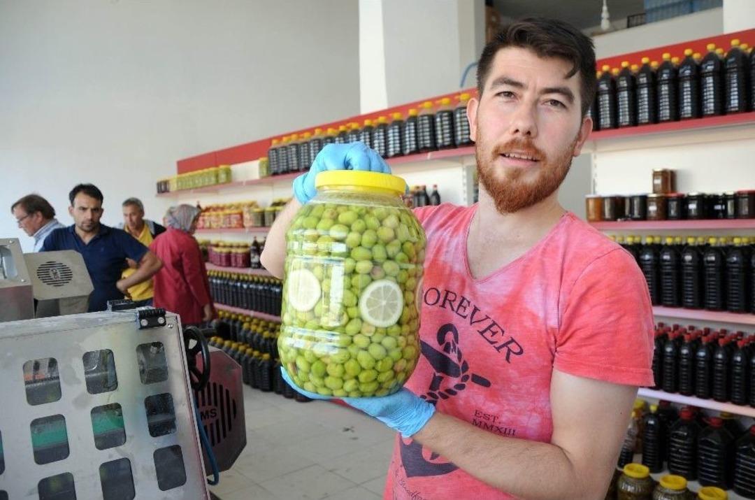 Gen&ccedil; Girişimci Atanamayınca Zeytin Kırma Tesisi Kurdu