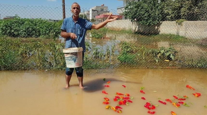 Suru&ccedil;&rsquo;ta Ev Ve İş Yerlerini Su Bastı
