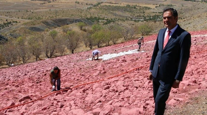 Atat&uuml;rk Portresinin Ardından T&uuml;rk Bayrağı Da Yenilendi