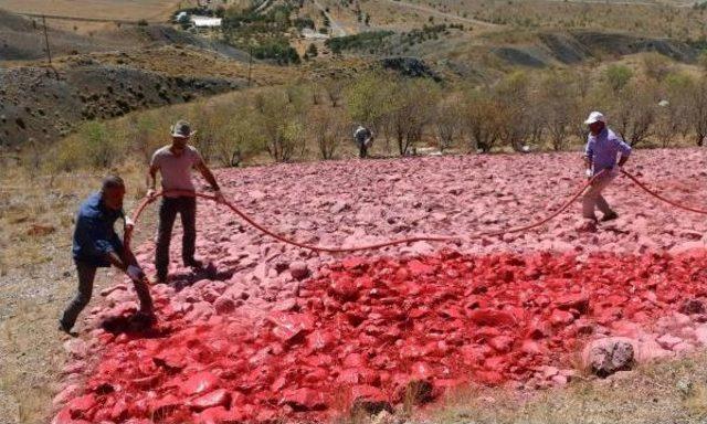 Erzincan'da 2 Bin Metrekarelik Dev Türk Bayrağı Yenileniyor