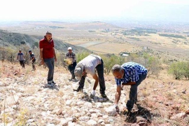 Erzincan'da 2 Bin Metrekarelik Dev Türk Bayrağı Yenileniyor