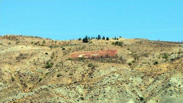 Erzincan'da 2 Bin Metrekarelik Dev Türk Bayrağı Yenileniyor