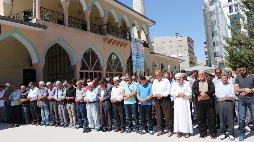 Ahde Vefa G&uuml;&ccedil;birliği Derneği&rsquo;nden Arakan &Ccedil;ağrısı