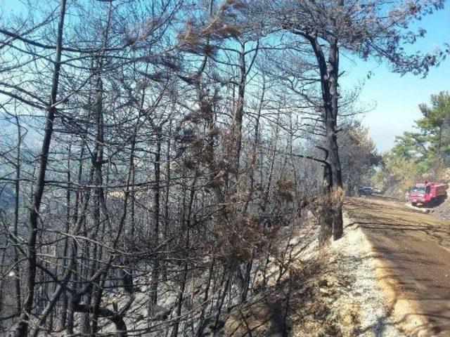 Zeytinköy'de Çadırlar Kuruldu, Hasar Tespit Çalışmaları Başladı